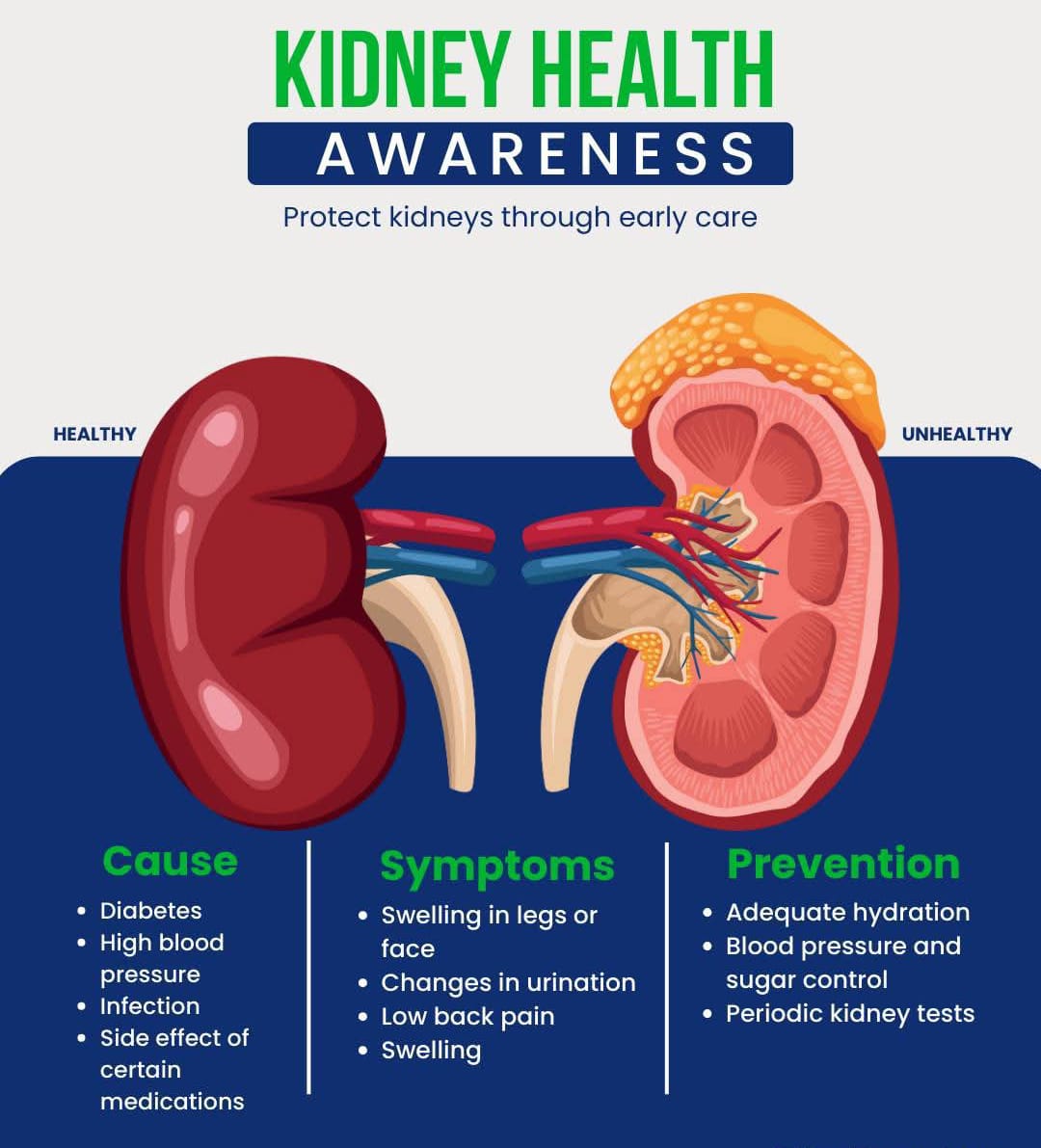 Kidney Function Tests